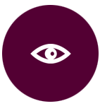 Visualiser
